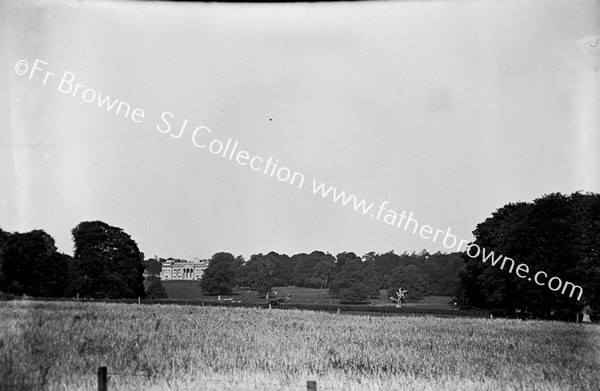 ST MARY'S AVENUE DISTANT VIEW OF HOUSE FROM WILLINGTONIA AVENUE